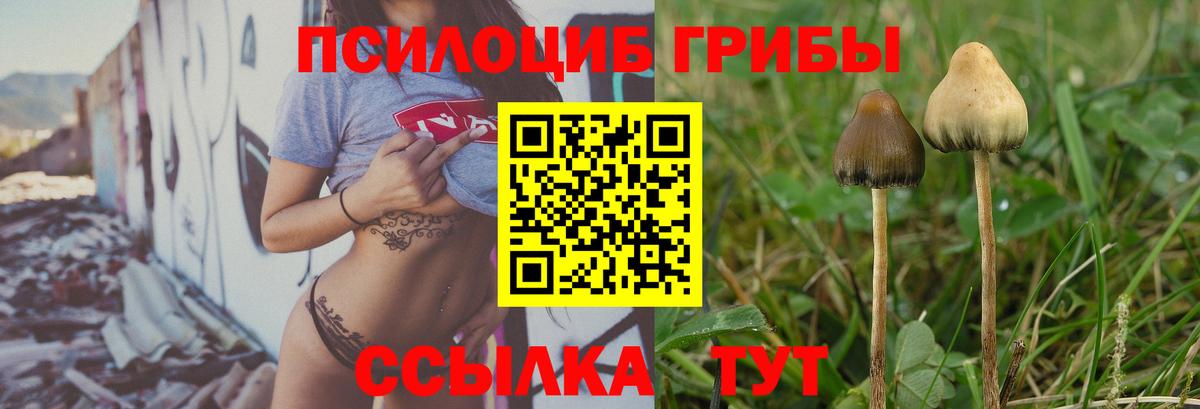 Галлюциногенные грибы GOLDEN TEACHER  Вход с VPN  Великий Новгород 