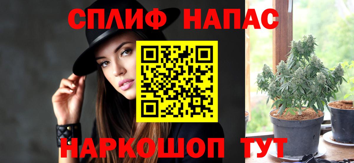 Бошки Шишки сатива Великий Новгород